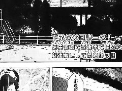 浪漫三重奏